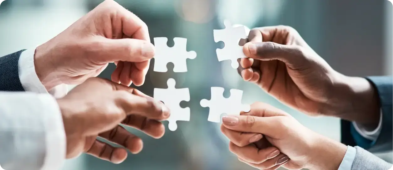 Seamless integration with Opus